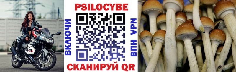 Галлюциногенные грибы Magic Shrooms Новочебоксарск