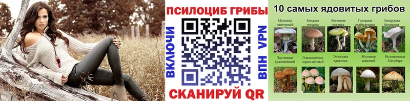Галлюциногенные грибы мухоморы  хочу   Новочебоксарск 